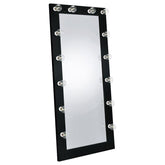 Coaster FLOOR MIRROR Model 969557